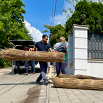 Fertő tavi cölöpházak darabjait vitték Mészáros Lőrinc villája elé