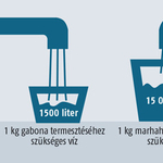 Víz-világtalálkozó kezdődik Budapesten