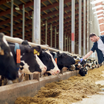 Megalapozná agrárvállalkozása további sikereit? Mutatjuk, milyen lehetőségei vannak