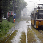 Felhőszakadás miatt leállt a villamos Kőbányán – fotók