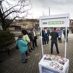 Másfél évig tarthat a Jobbik agóniája