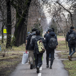 Migránsbandák lövöldöztek egymásra a szerb-magyar határ közelében, többen meghaltak