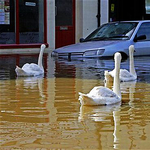 Megdöbbentő videó: Felsőzsolca, áradás után