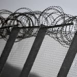 Telegraph: A szerb-magyar zöldhatáron nem látszik, hogy csökkenne az illegális migráció