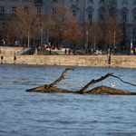 Már 500 kilométeren van árvízi készültség, Budapesten szombaton tetőzik a Duna