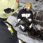 Átfagyott cicát mentettek a ceglédi tűzoltók egy csatornából