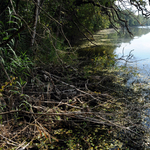 Illegális terepjáróversennyel zúztak szét több Natura 2000-es területet