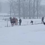 Jól jött a két valódi lóerő a havazásban árokba csúszott terepjárósnak – videó