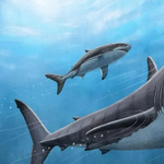 Melegvérű lehetett a 15-20 méter hosszú, hatalmas őscápa, a megalodon