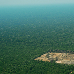 Aprócska, de nagyszerű hír jött a lángoló Amazonasból