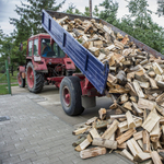 "Úgy érzem, a miniszter egy tollvonással képes kiirtani a Natura 2000-es erdőket"