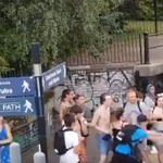 Hattyút próbáltak rugdosni londoni fiatalok, majd vízbe lökték a férfit, aki ezt szóvá tette (videó)