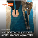 Újabb olvasnivalók a hvg.hu-n: itt vannak a blogok