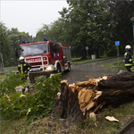 Pusztított a vihar: több mint ezer helyen okozott károkat 