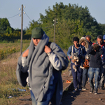 Káosz Röszkénél, migránsok az M5-ön - összefoglaló