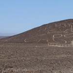 37 méteres Nazca-macskára bukkantak Peruban