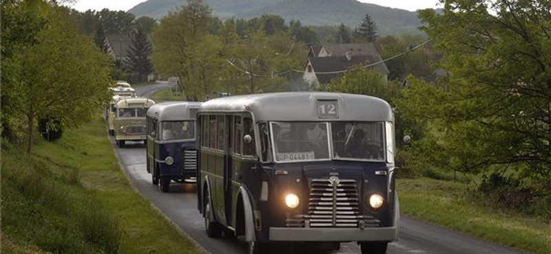 Retró buszkonvoj vonul végig péntek délelőtt Budapesten