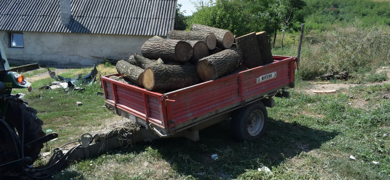 Három fatolvajt is elkaptak a rendőrök Sajókazán