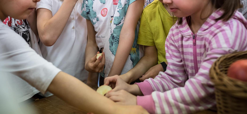 Országszerte több mint 800 óvónő hiányzik 