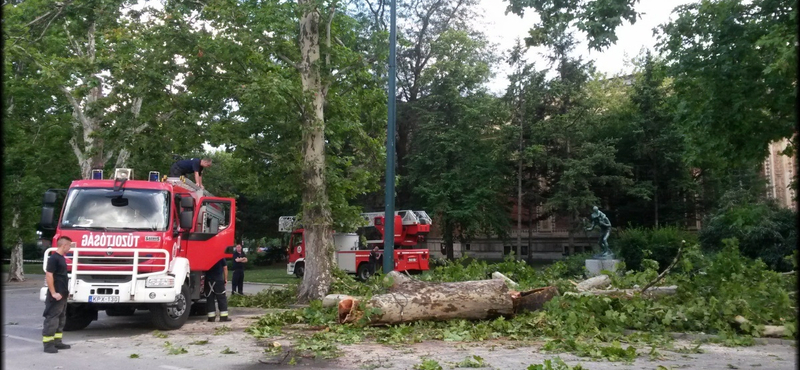 Kigyulladt egy fa a Hősök tere közelében - fotó