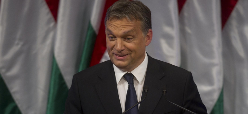 "Egy koca, egy porta" - Orbán ötletelt?