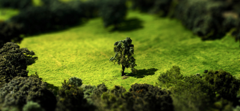 Mai háttérkép: Tilt Shift Meadow - óriásból törpe