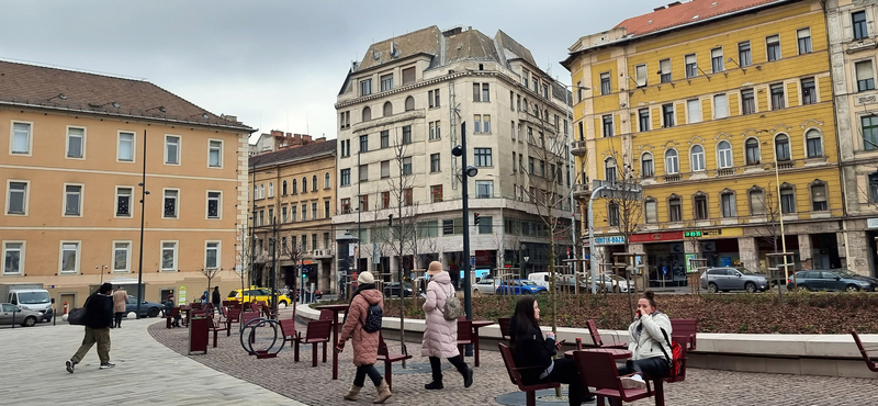 Valakinek nagyon útban volt egy frissen ültetett fa a Blaha Lujza téren