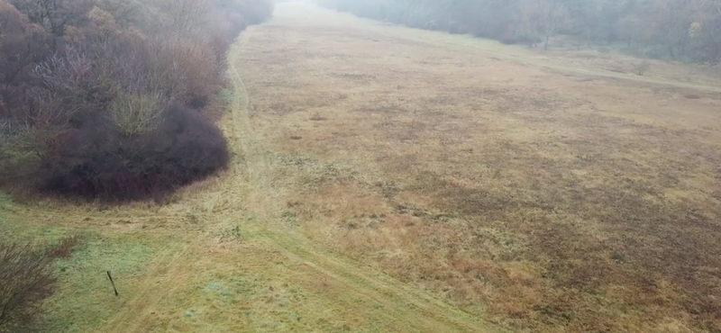 Így keresi az eltűnteket a kutató-mentők drónja – videó