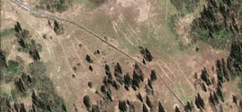 Óriási rénszarvasrajzot találtak a Google Earth-szel egy uráli fennsíkon