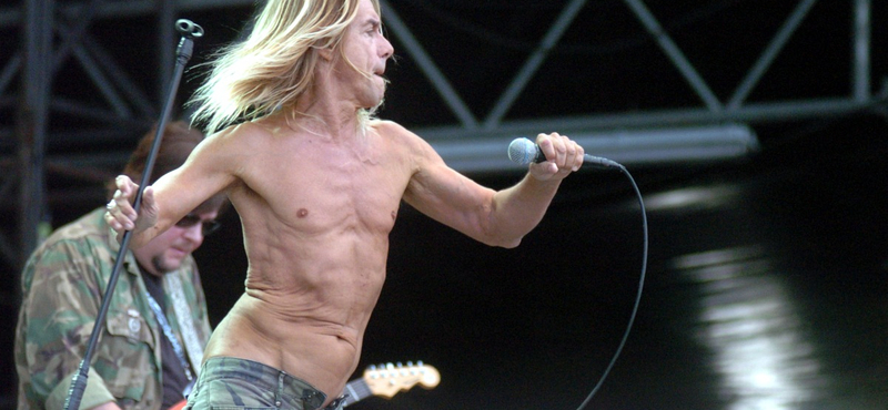 40 éve jelent meg Iggy Pop egyik legfontosabb albuma