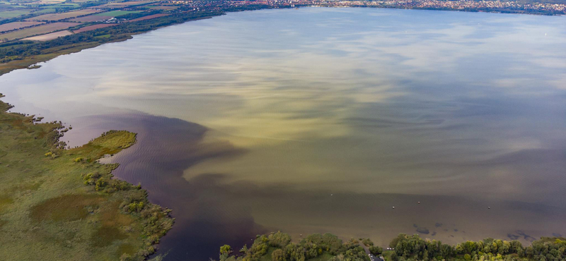 Kiderült, miért algásodik jobban a Balaton