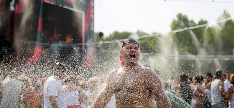 Sziget: mégis kellenek a magyarok