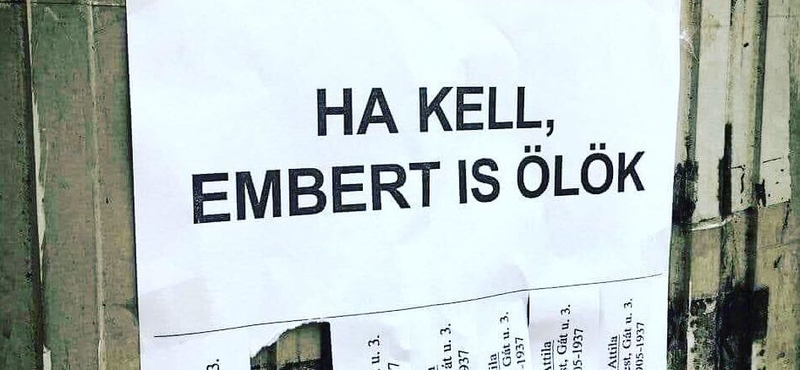 „Ha kell, embert is ölök”