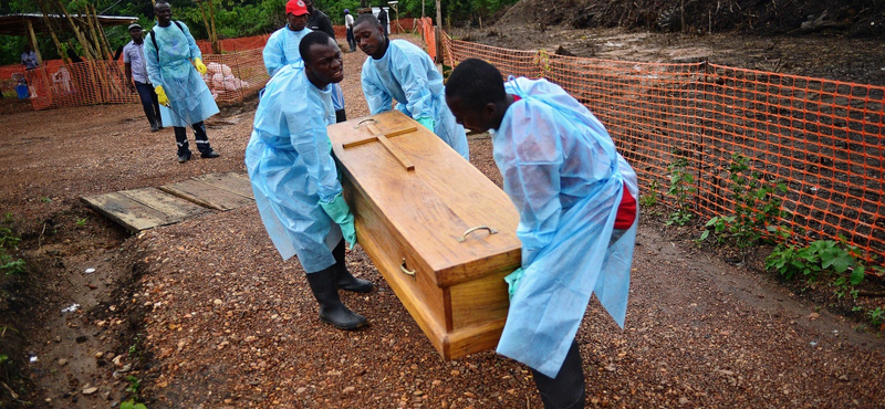 Ebola végzett egy teljes üzletággal