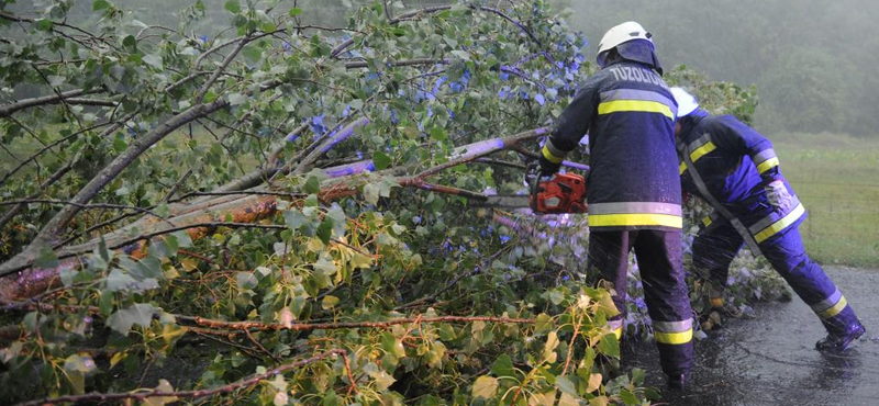 Ötven helyre riasztották a tűzoltókat a vihar miatt