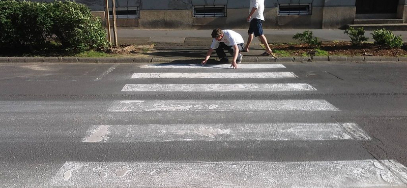 "Tönkretett" egy kaposvári zebrát a Kétfarkú Kutya Párt