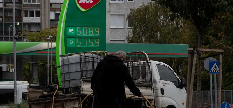 A Molnál is bevezetik a kötelező oltást