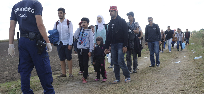 443 határsértőt fogtak el a hétvégén