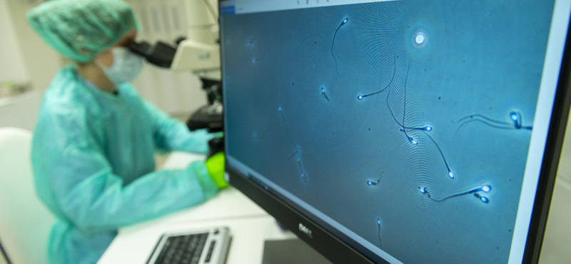 Ritka rákkeltő gént hordozott egy spermadonor – 10 gyermeknek már tovább is adta a betegséget