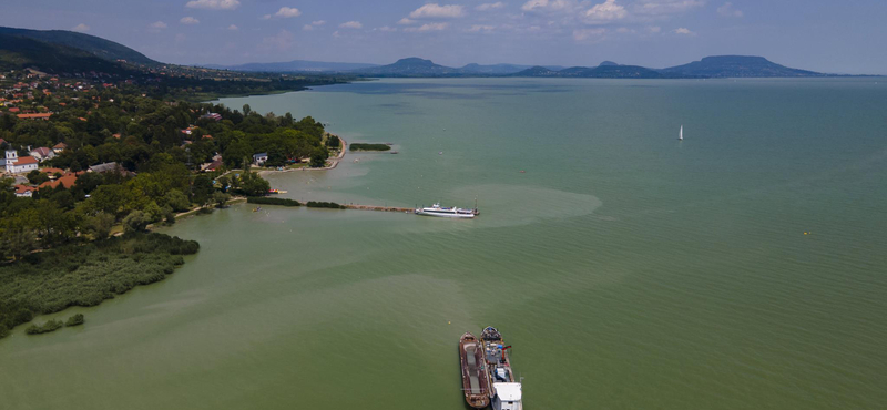 Allergiás reakciót, hasmenést okozhat a Balatonban elszaporodott kékalga