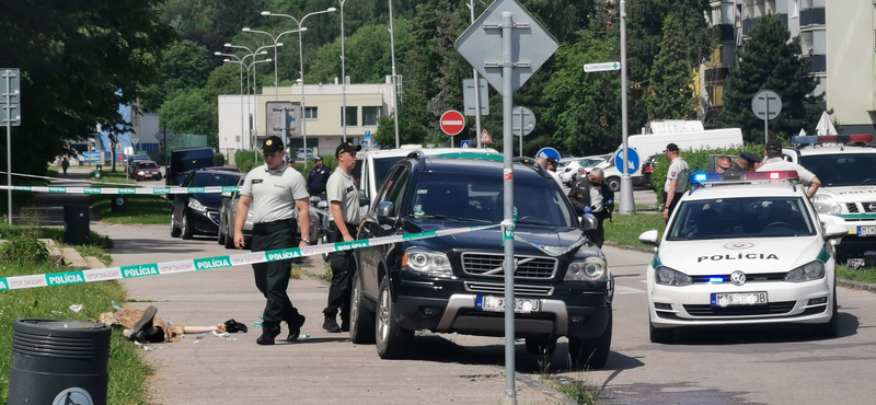 Videón, ahogyan lelövik a szlovák rendőrök a ruttkai késelőt