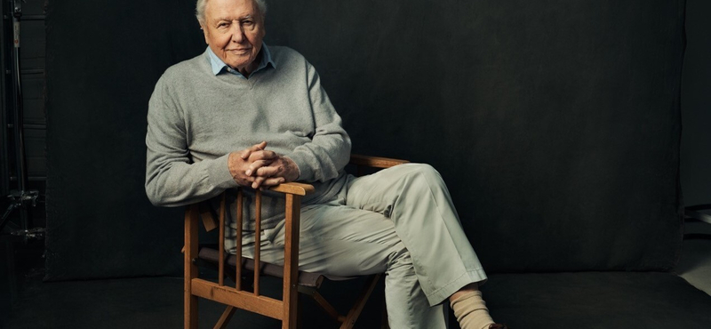 Sir David Attenborough 99 évesen sem adja fel, hogy megmentse a bolygónkat