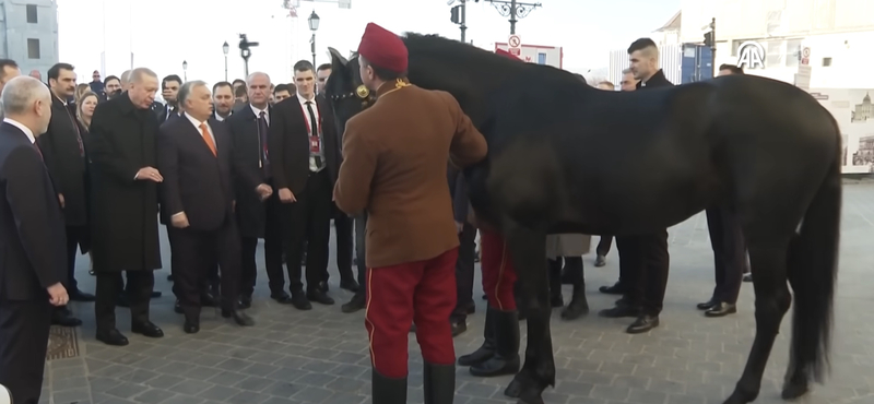 Lázár következő nagy projektje: kancát keres Erdogan lovának