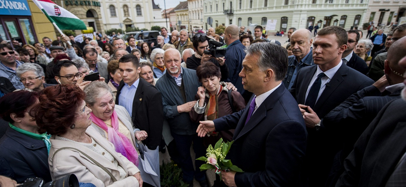 A gyűlölet máglyáján égve