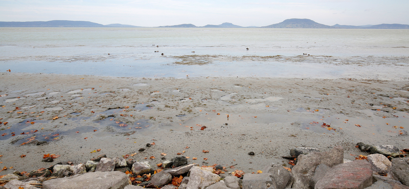 Gyógyszermaradványokat és mikroműanyagot találtak a Balaton vizében