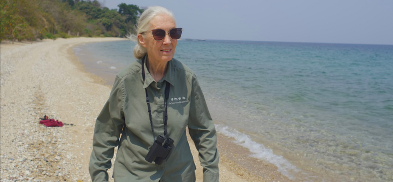 Jane Goodall: Az emberiségnek vége, ha nem változtatunk a koronavírus után