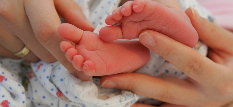 Elsőre sokan felhördültek, de az egynapos szülés alapötlete nem rossz