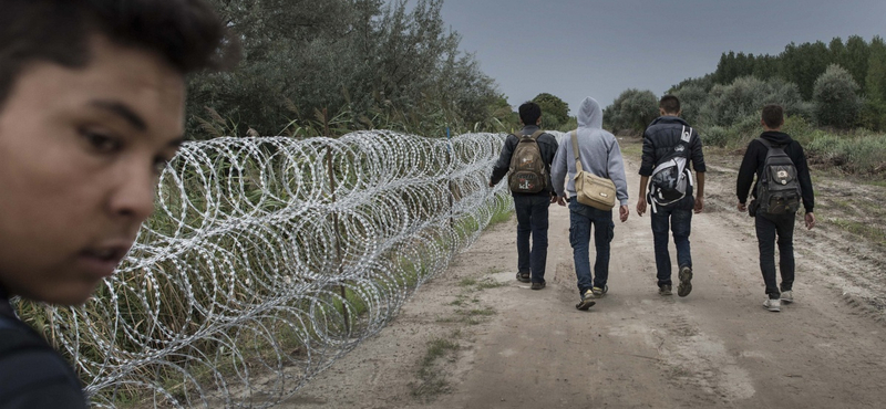 Menekültek tragédiája: újra bevezetné a határellenőrzést Burgenland vezetője