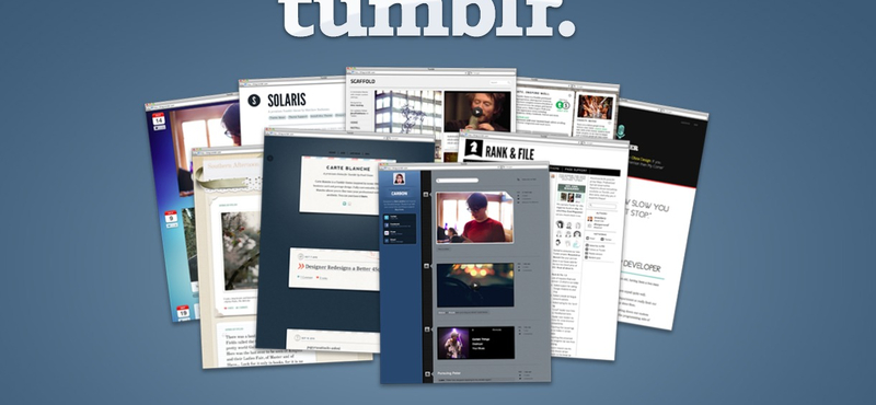 Kitiltja az oldaláról a pornót a Tumblr