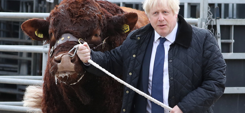 Boris Johnson marhákkal találkozott